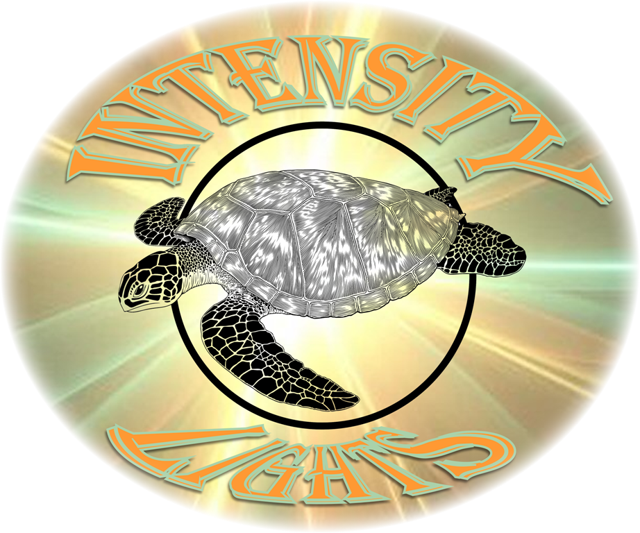 Intensity Logo